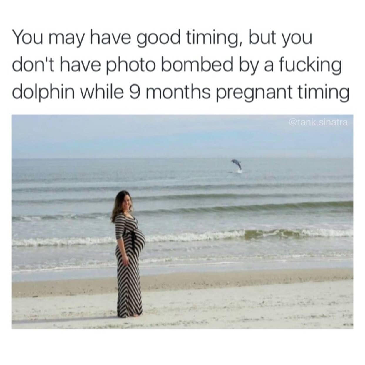 meme dump, hilarious memes, funny memes, Lunch Break Humor, Afternoon Pick-Me-Up Memes, Funny Work Memes, Hilarious Intermission, Midday Laugh Attack, Workday Comedy Collection