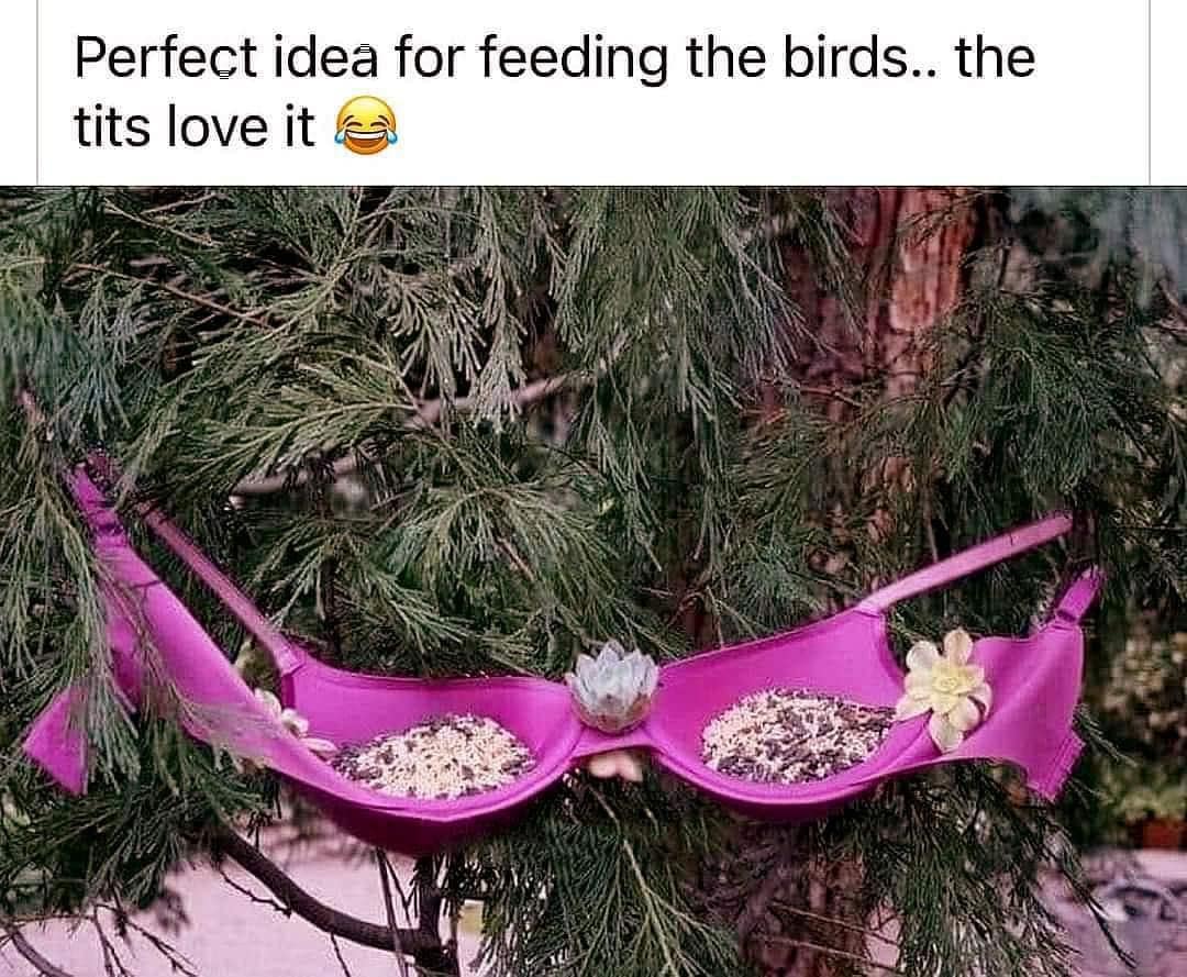 meme dump, funny memes, hilarious memes, lunch break memes, daily laughs, internet comedy, humor compilation, meme buffet, comedy roundup