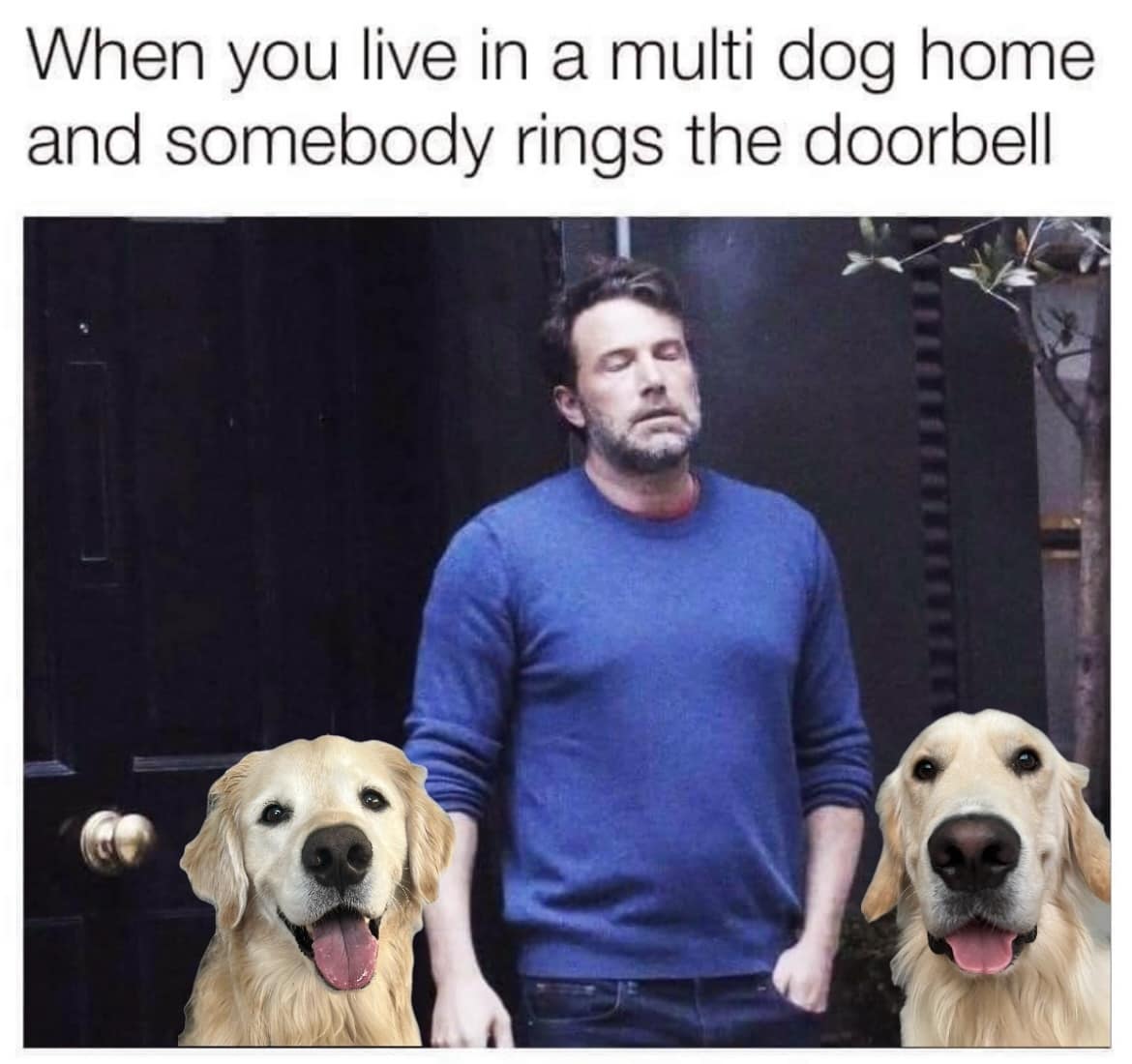 meme dump, funny memes, hilarious memes, lazy Sunday memes, humorous memes, meme collection, laughter repository, chuckle compilation, meme extravaganza