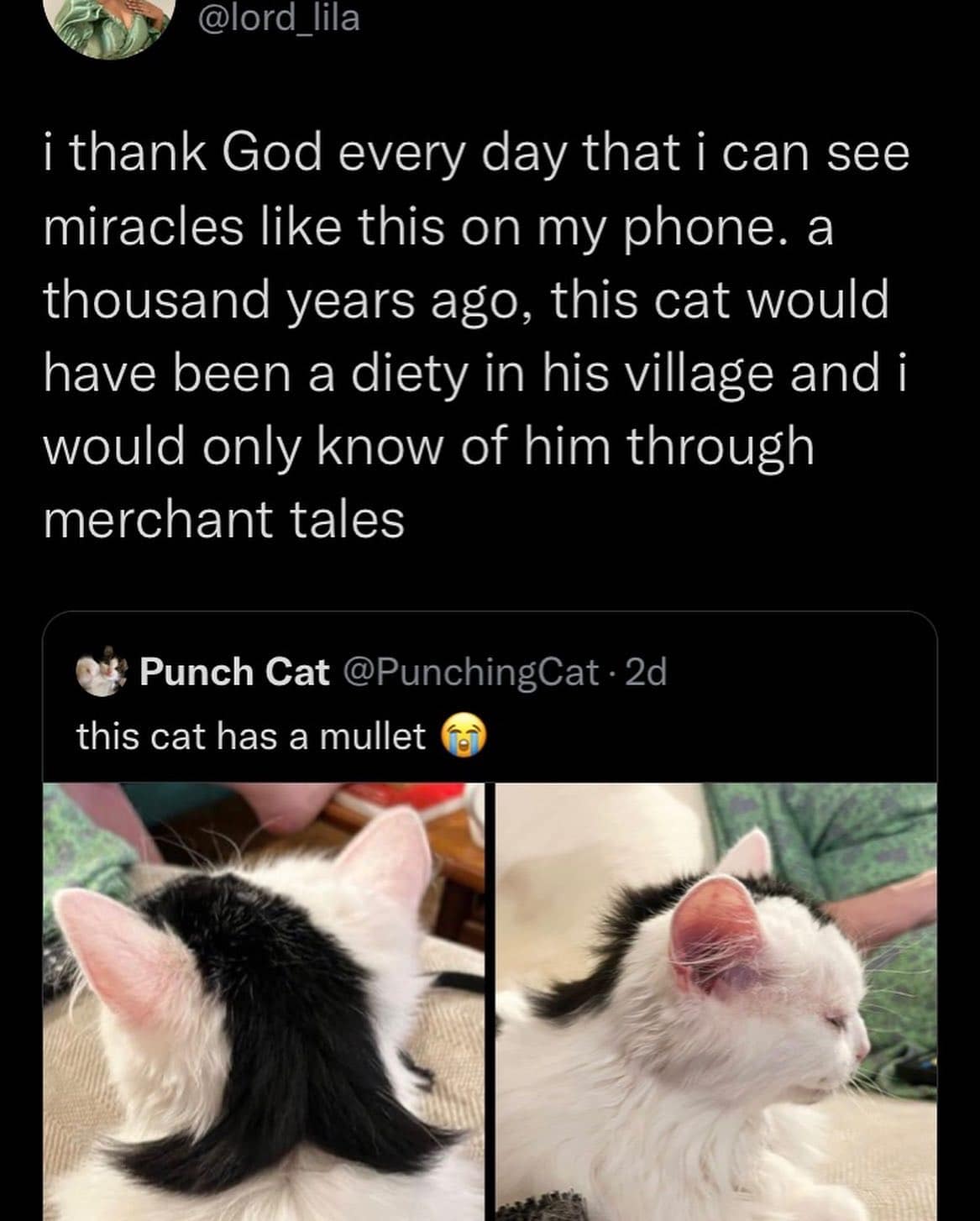 meme dump, funny memes, hilarious memes, lazy Sunday memes, humorous memes, meme collection, laughter repository, chuckle compilation, meme extravaganza