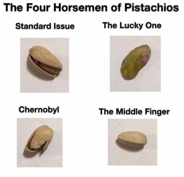 meme dump, funny memes, hilarious memes, weekly memes, Sunday meme madness, laugh break memes, meme collection, meme roundup, meme bonanza