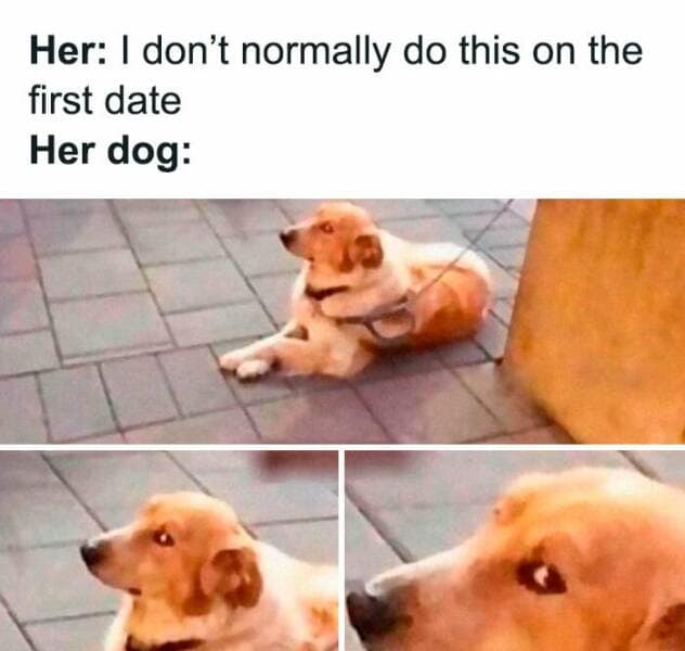 Her: I don't normally do this on the first date Her dog: