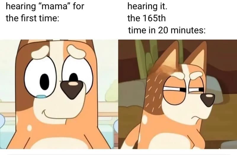 mom memes, motherhood humor, parenting jokes, funny mom moments, mother memes, mommy jokes, parental humor