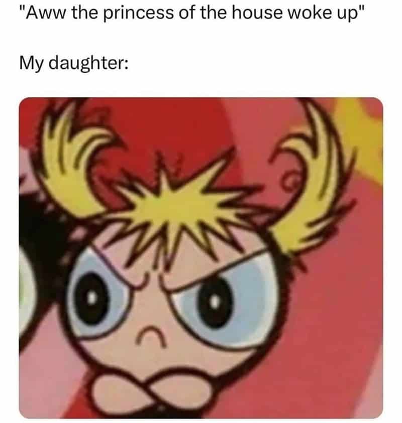 mom memes, motherhood humor, parenting jokes, funny mom moments, mother memes, mommy jokes, parental humor