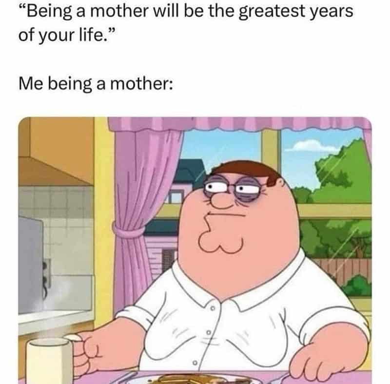 mom memes, motherhood humor, parenting jokes, funny mom moments, mother memes, mommy jokes, parental humor