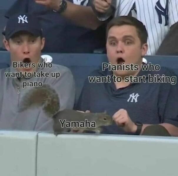 music memes, Funny Song Memes, Song Parodies, Hilarious Album Covers, Lyrical Jokes