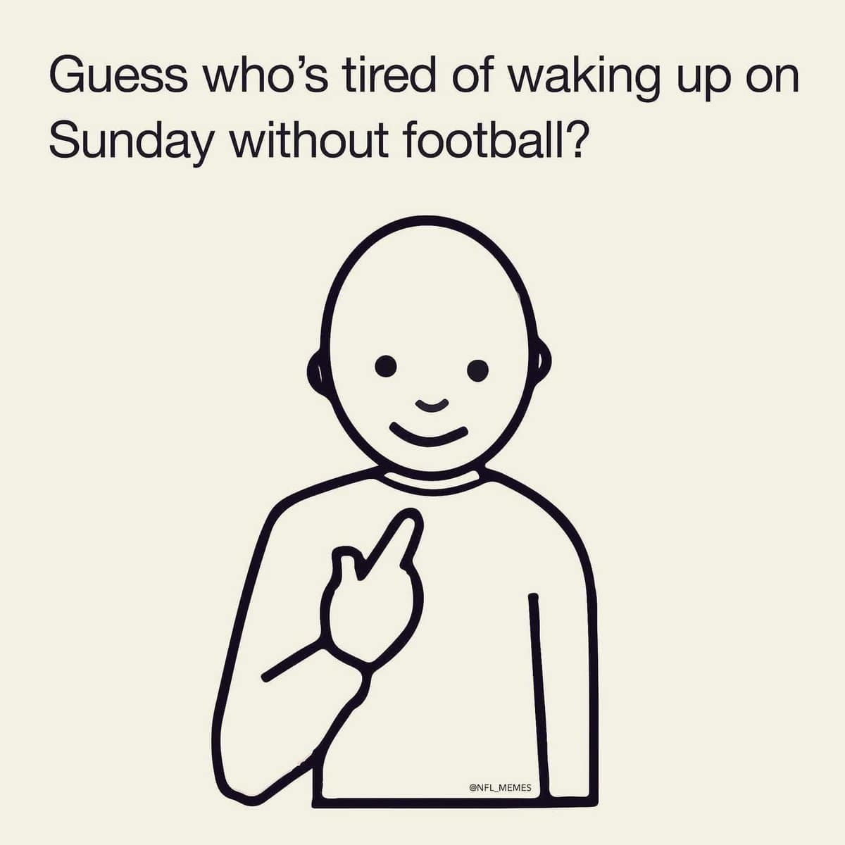 NFL memes, 2024 NFL memes, football memes, Super Bowl memes, Football fan memes