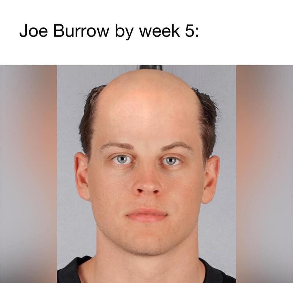 NFL memes, 2024 NFL memes, football memes, Super Bowl memes, Football fan memes