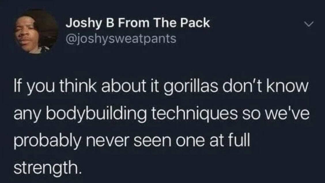 oddly specific memes, niche memes, specific interest memes, obscure online jokes, targeted humor memes