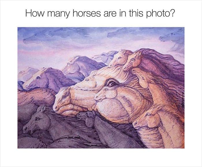 How many horses are in this photo?