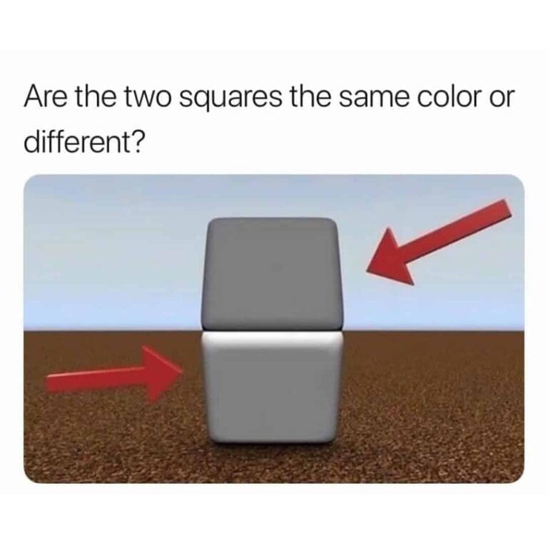 43 Optical Illusion Memes That Will Totally Mess With Your Eyes