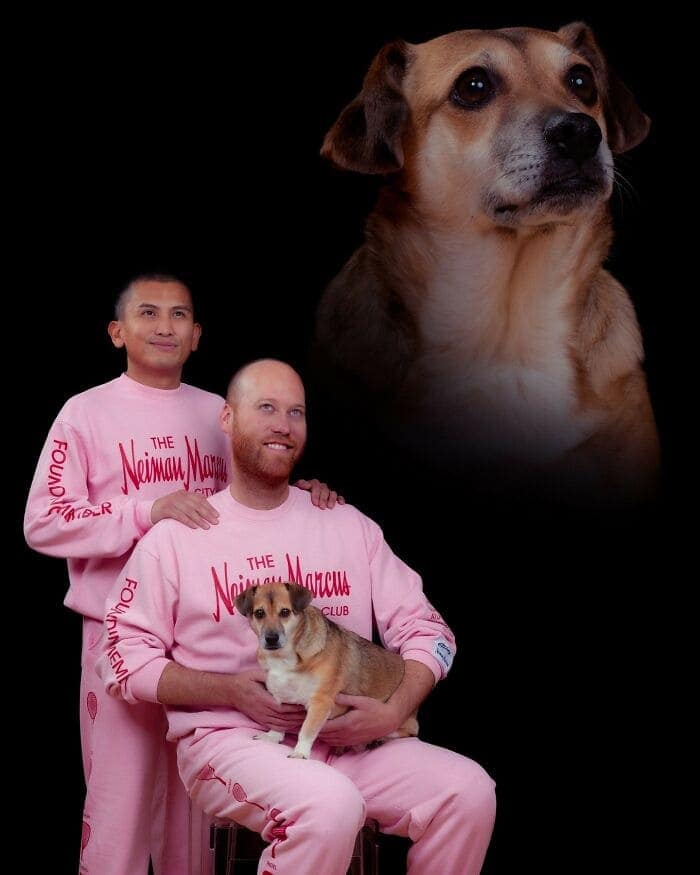 pet portraits, funny pet portraits, pet photos, funny animal portraits, funny pet pictures, animal photography, pet photo fails, pet photo shoots, funny animal studio portraits, awkward pet photos