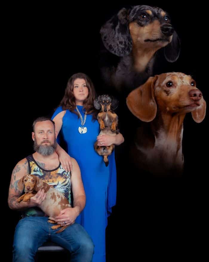 pet portraits, funny pet portraits, pet photos, funny animal portraits, funny pet pictures, animal photography, pet photo fails, pet photo shoots, funny animal studio portraits, awkward pet photos