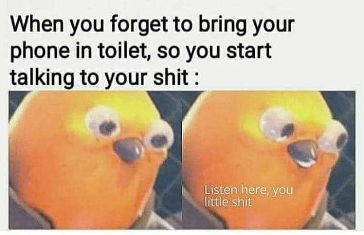 poop memes, weird toilets, toilet memes, Bathroom humor