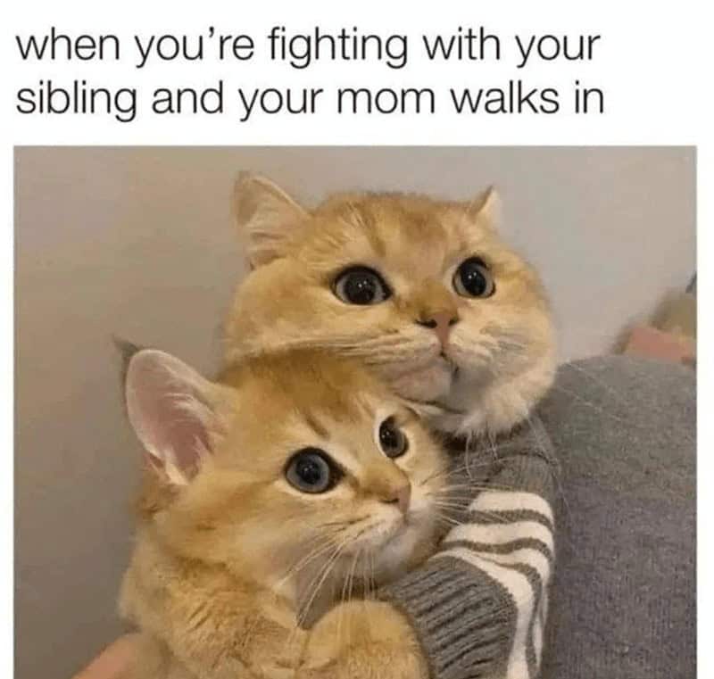 sister memes, sibling memes, family memes, childhood memes, sisters memes