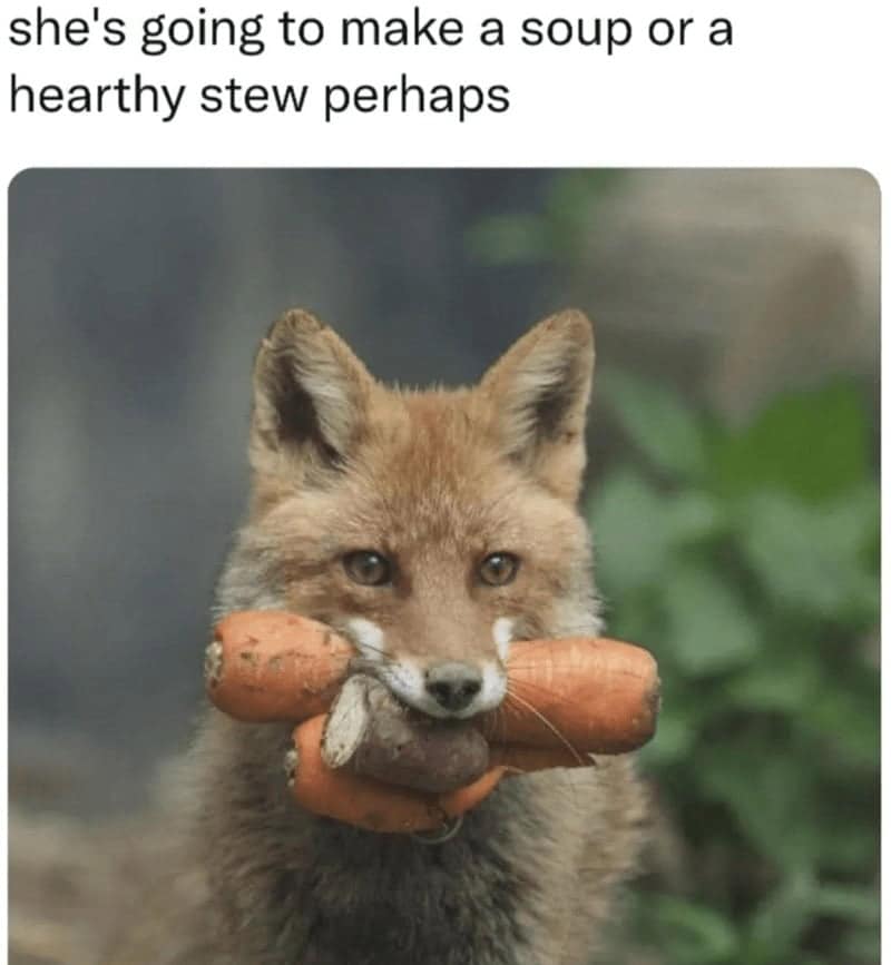 she's going to make a soup or a hearthy stew perhaps