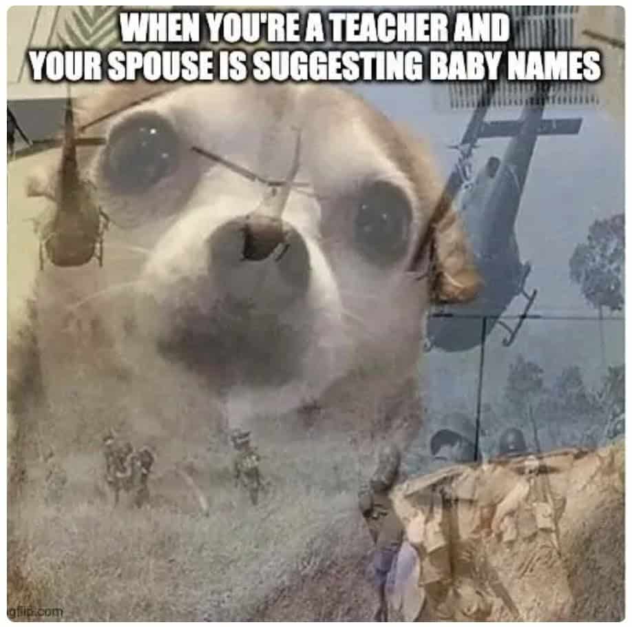 teacher memes, funny teacher memes, school memes, education memes, humorous teacher memes, teacher humor, classroom memes, student memes, learning memes, academic memes
