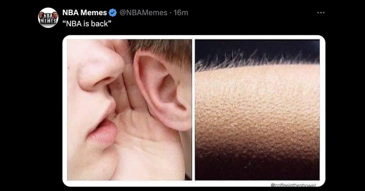 NBA memes, basketball memes, NBA jokes, LeBron memes, basketball humor, NBA season memes