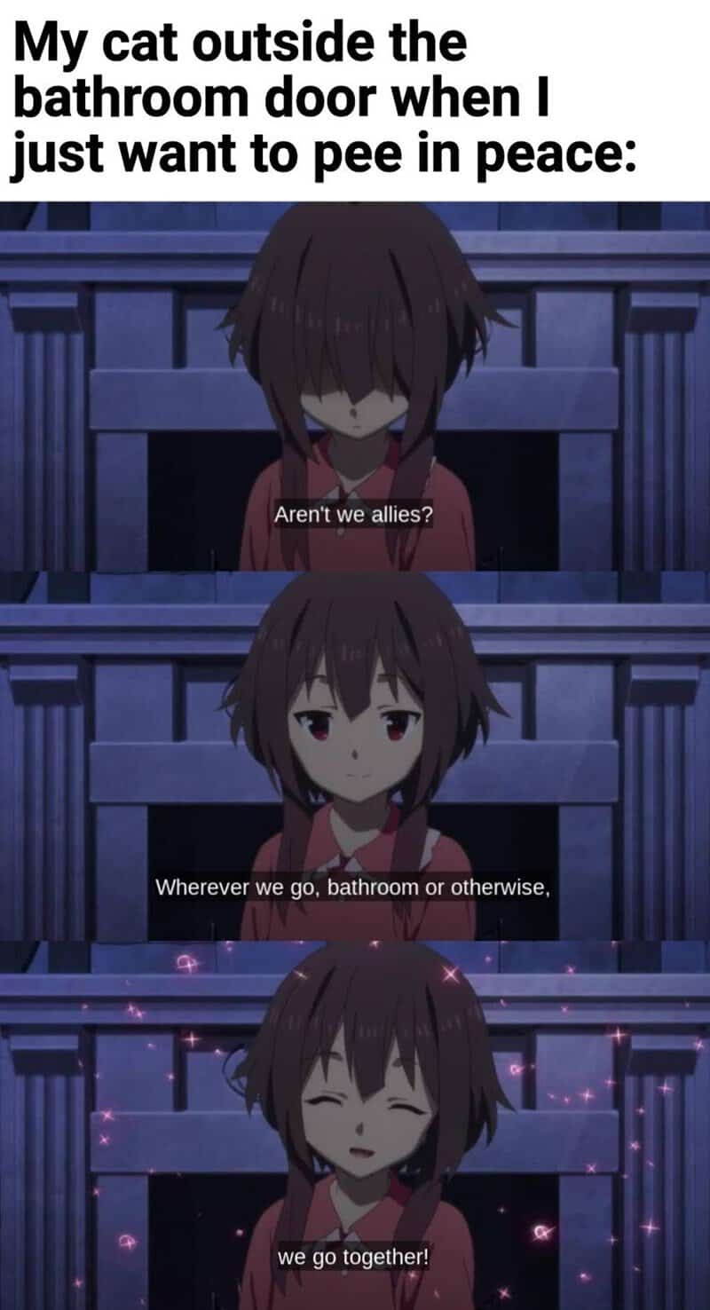 anime memes, otaku memes, anime humor, manga jokes, weeb memes, anime comedy, manga humor