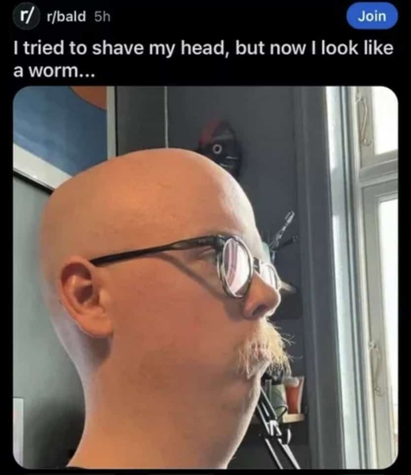 bald memes, bald guy memes, hair loss memes, funny bald jokes, bald humor, receding hairline humor, self-deprecating humor, bald life jokes