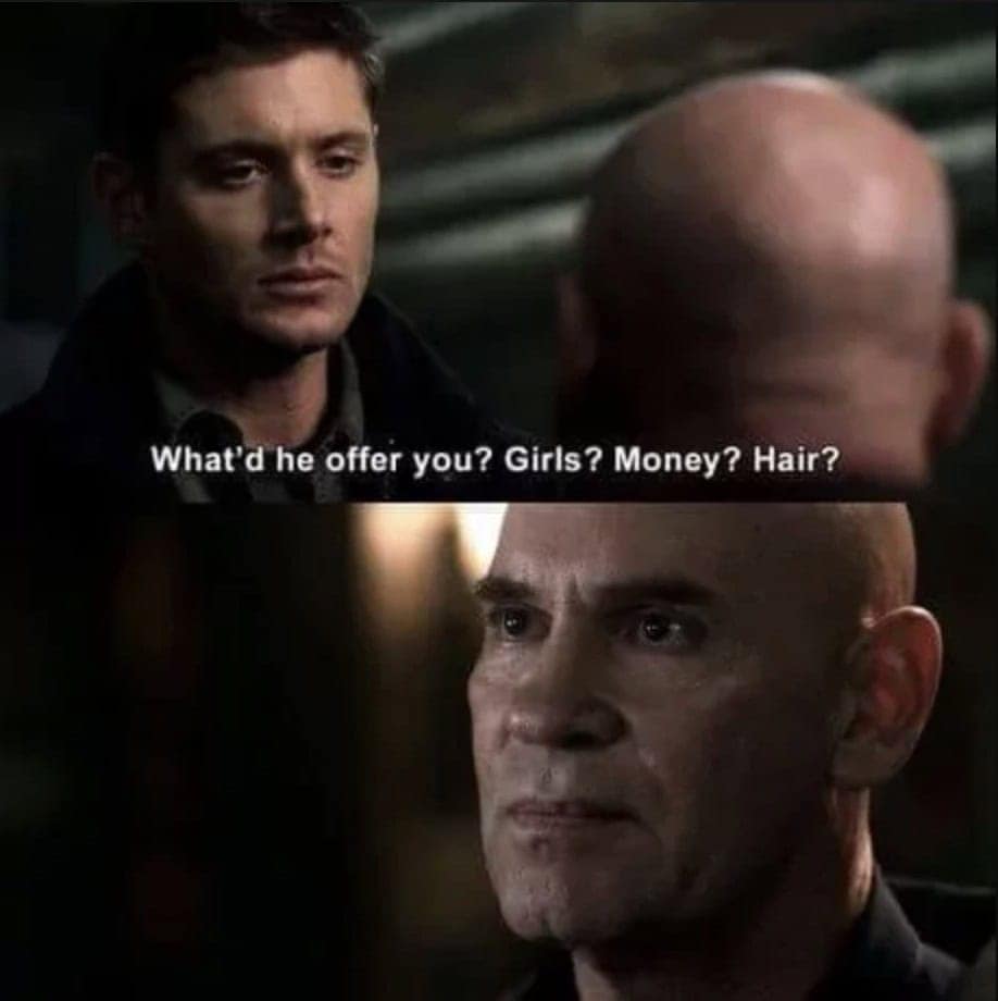 bald memes, bald guy memes, hair loss memes, funny bald jokes, bald humor, receding hairline humor, self-deprecating humor, bald life jokes
