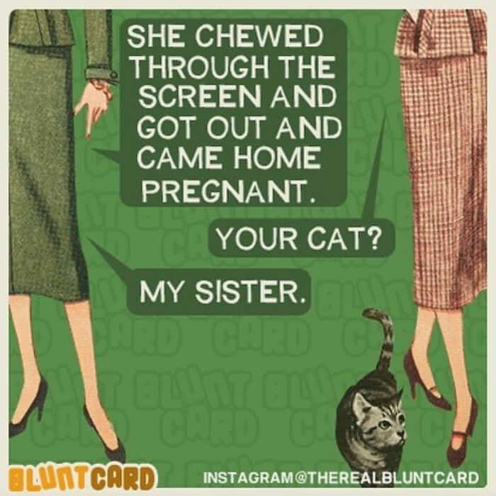 bluntcard, Bluntcards, funny greeting cards, sarcastic cards, brutally honest cards, sarcastic memes, funny cards, blunt humor, snarky humor, sarcastic humor, blunt jokes