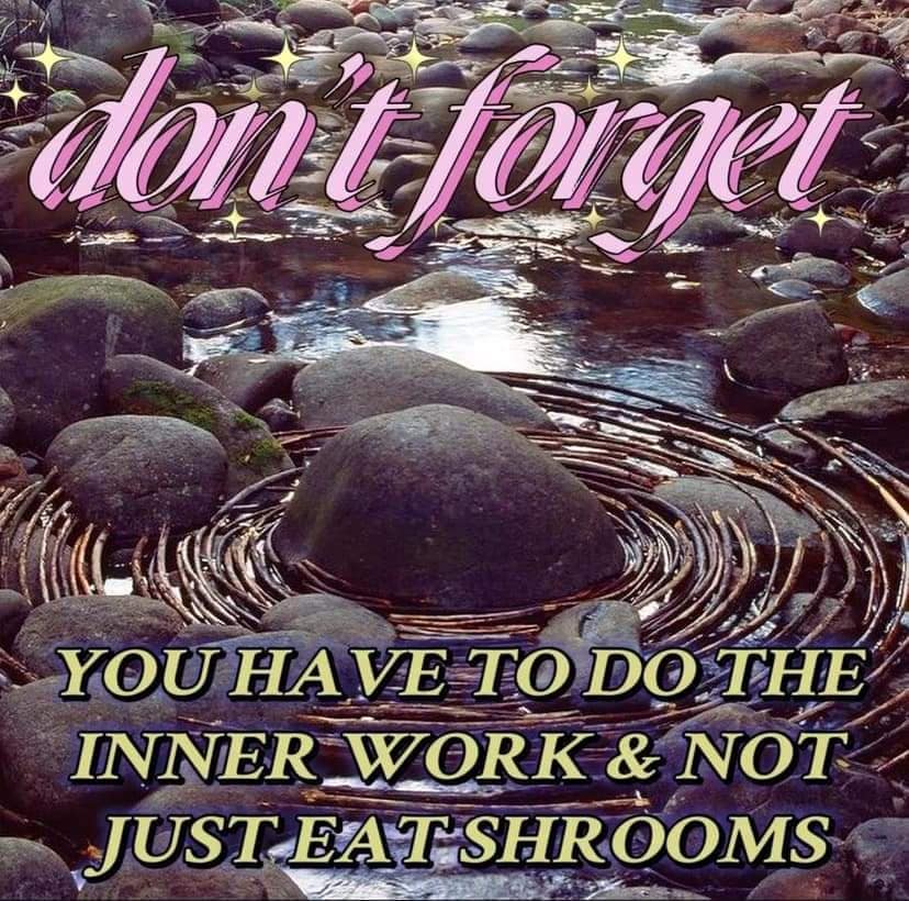 classic memes, vintage meme, viral tweets, timeless memes, viral internet memes, popular tweets, funny viral posts, trending tweets, viral memes, timeless internet humor