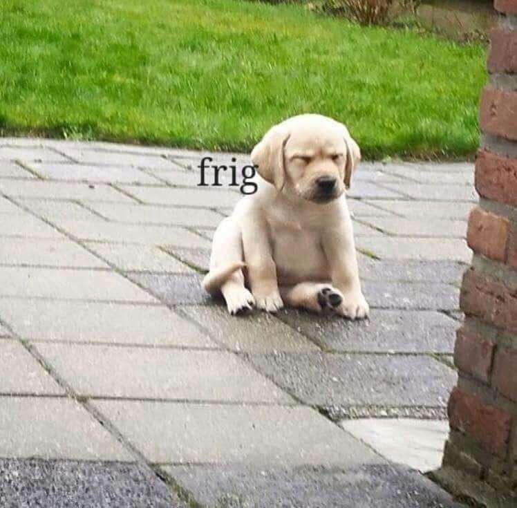 classic memes, vintage memes, viral tweets