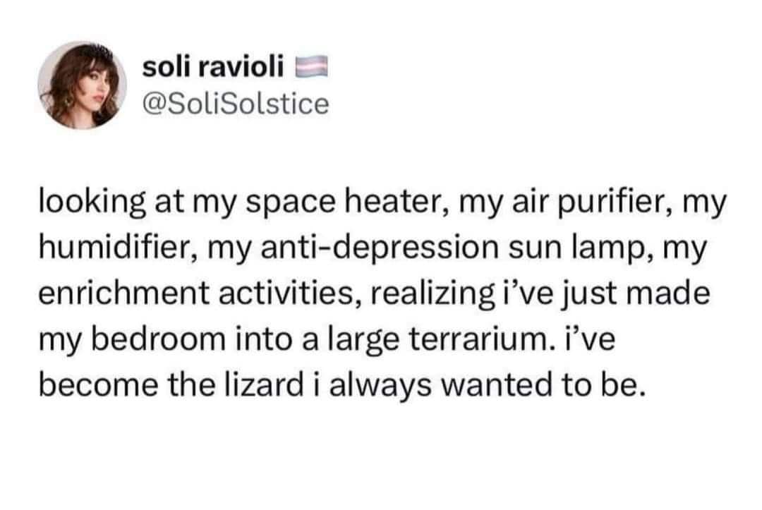 classic memes, vintage memes, viral tweets, timeless memes, evergreen internet jokes, popular tweets, viral internet content, evergreen memes, throwback jokes, internet classic posts