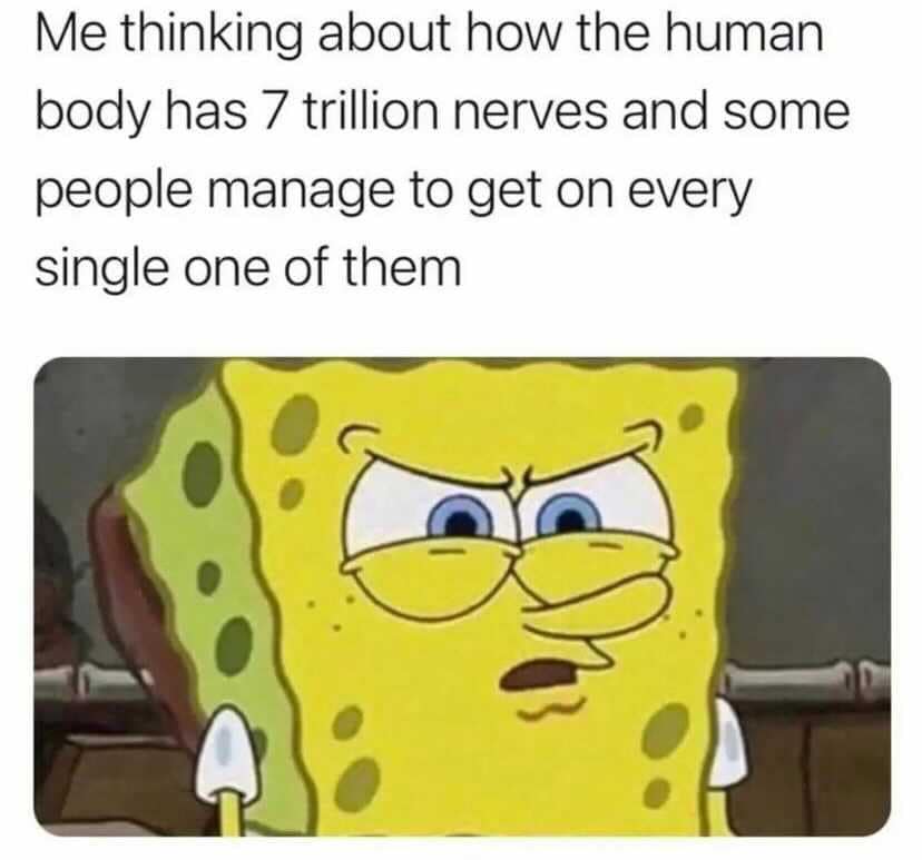 classic memes, vintage memes, viral tweets, timeless memes, internet classics, iconic memes, vintage tweets