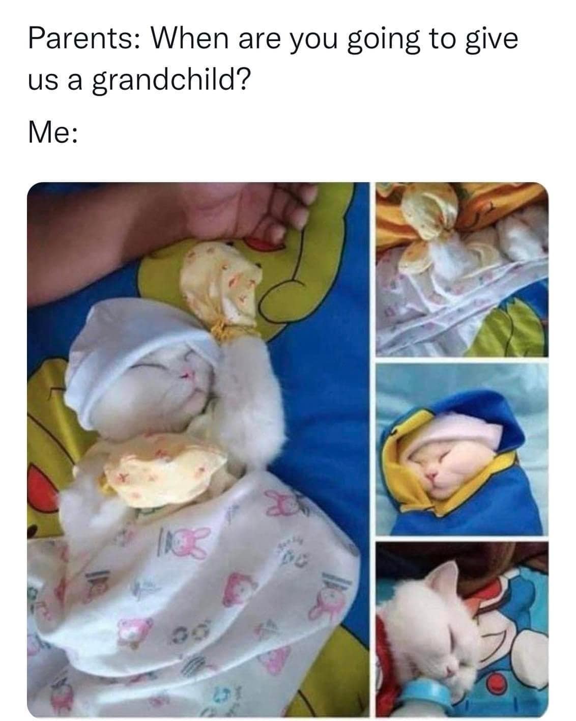 classic memes, vintage memes, viral tweets, Funny Throwback Memes, Iconic Viral Tweets, Nostalgic Internet Moments, Timeless Memes