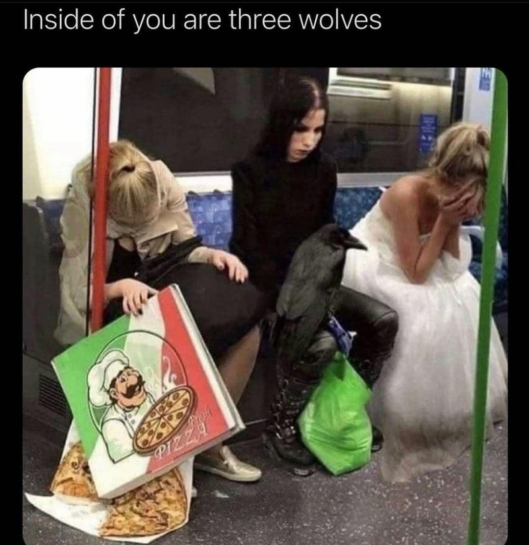 meme dump, funny memes, hilarious memes, internet classics, iconic memes, viral memes, timeless memes