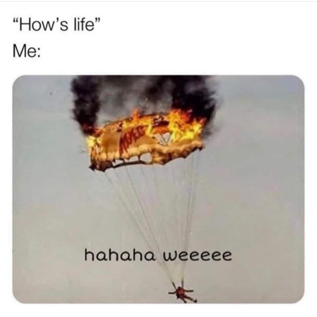 classic memes, vintage memes, viral tweets, timeless memes, evergreen internet jokes, popular tweets, viral internet content, evergreen memes, throwback jokes, internet classic posts