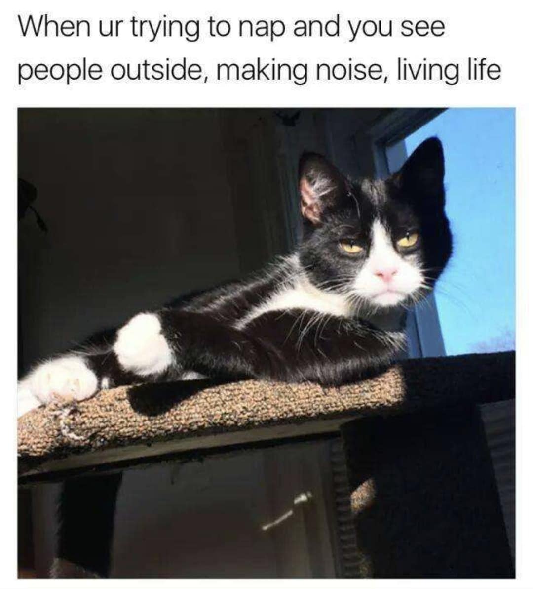 classic memes, vintage memes, viral tweets, classic memes, vintage memes, viral tweets, best memes, OG internet humor, best memes