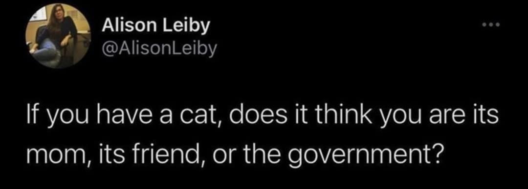 classic memes, vintage memes, viral tweets, internet culture, iconic images timeless memes, legendary internet humor, iconic viral content