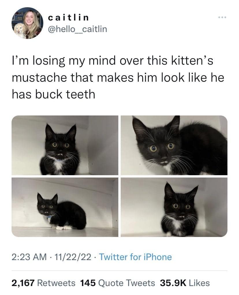 classic memes, vintage memes, viral tweets, timeless memes, iconic memes, viral memes, internet classics, meme nostalgia, evergreen memes, unforgettable memes, throwback tweets