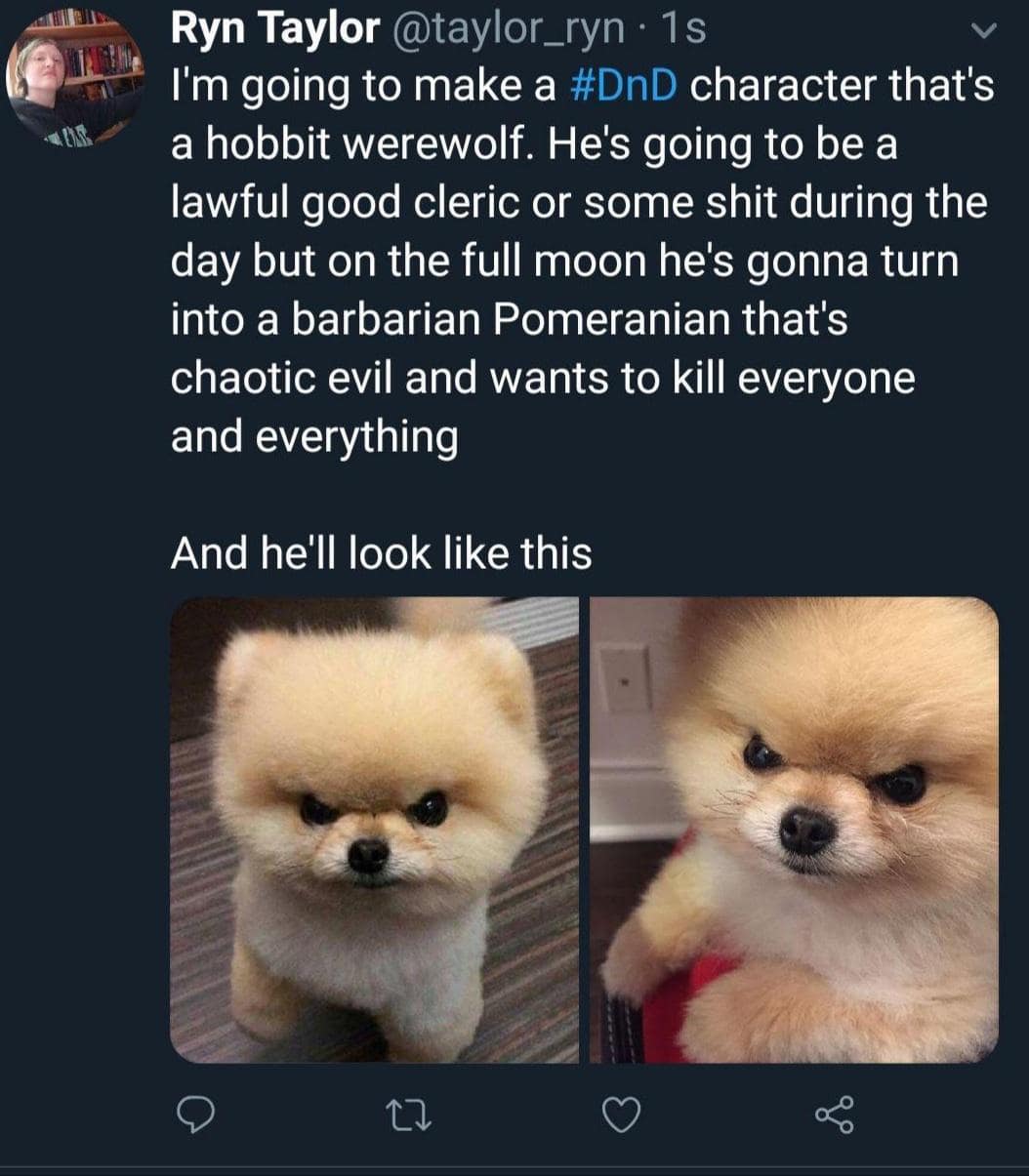 dnd memes, d&d memes, dungeons & dragons, dnd memes, d&d memes, dungeons & dragons memes, DnD memes funny, funny Dnd memes, Dungeons & Dragons memes