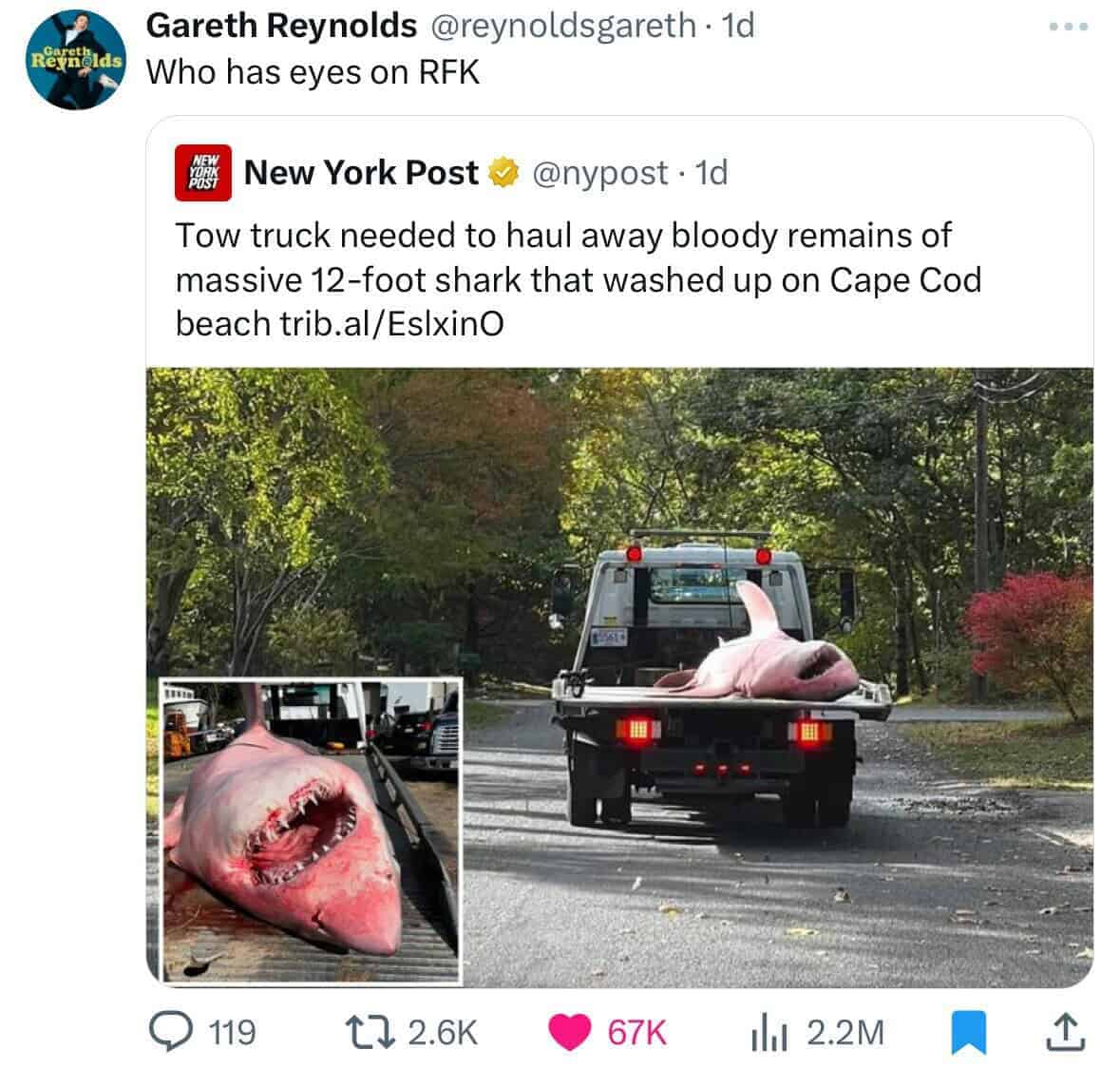 Tow truck needed to haul away bloody remains of massive 12-foot shark that washed up on Cape Cod beach