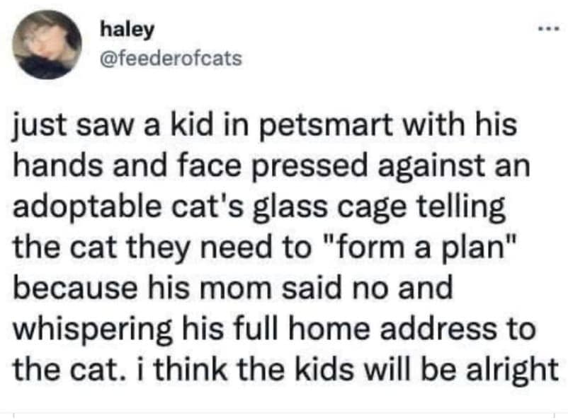 just saw a kid in petsmart with his hands and face pressed against an adoptable cat's glass cage telling the cat they need to "form a plan" because his mom said no and whispering his full home address to the cat. i think the kids will be alright