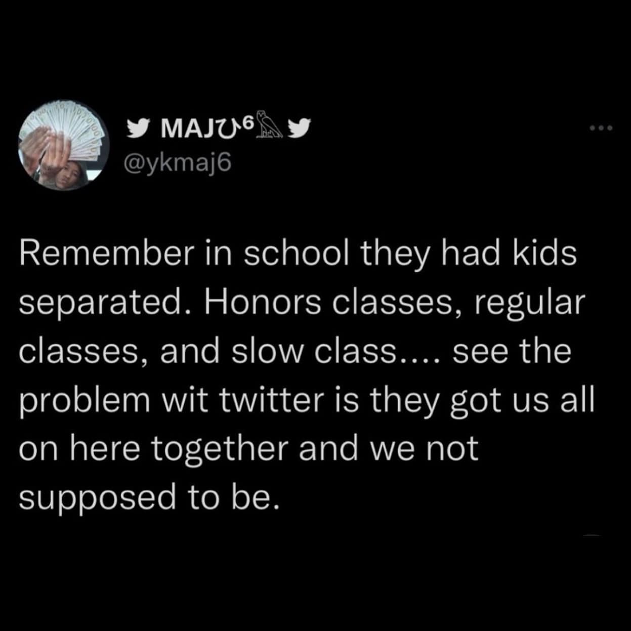 Remember in school they had kids separated. Honors classes, regular classes, and slow class.... see the problem wit twitter is they got us all on here together and we not supposed to be.