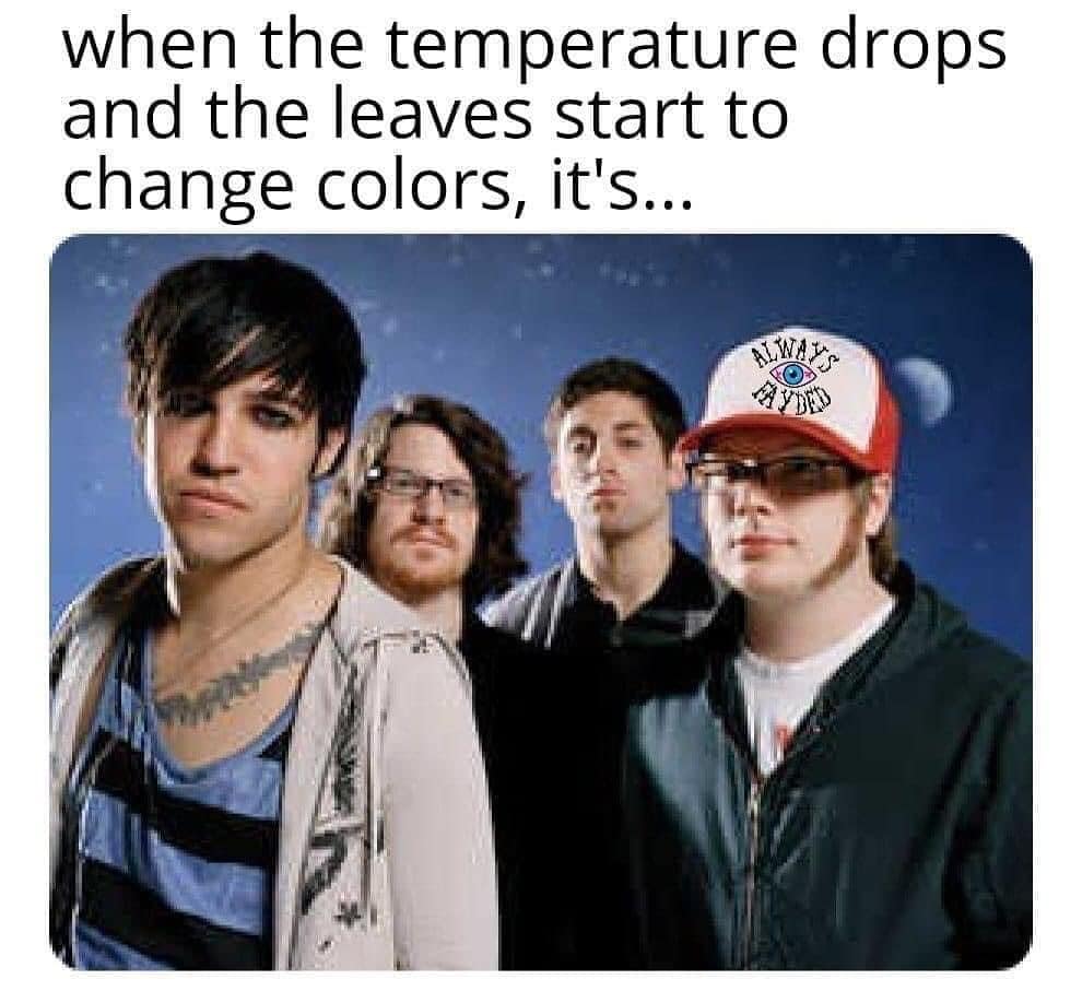 when the temperature drops and the leaves start to change colors, it's...