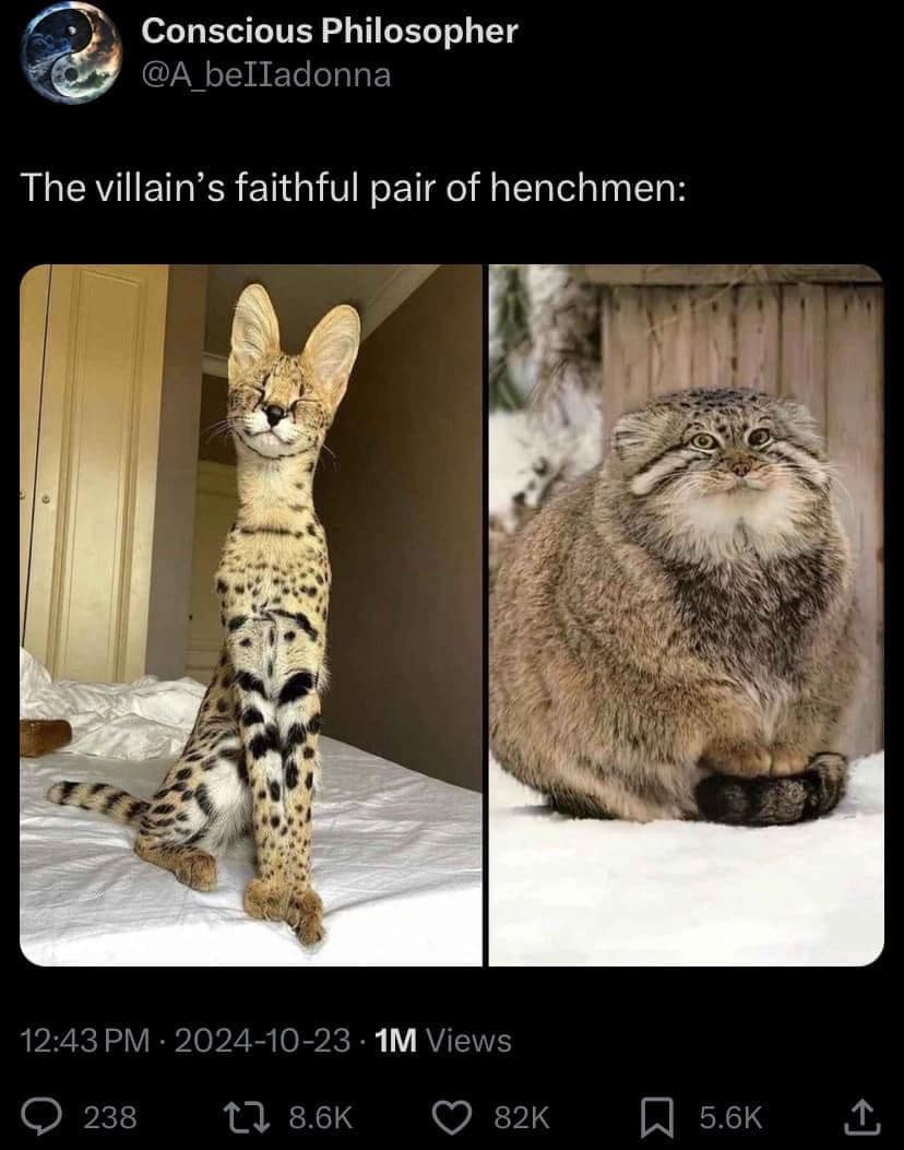 funny memes, funny images, funny pics, funny pictures