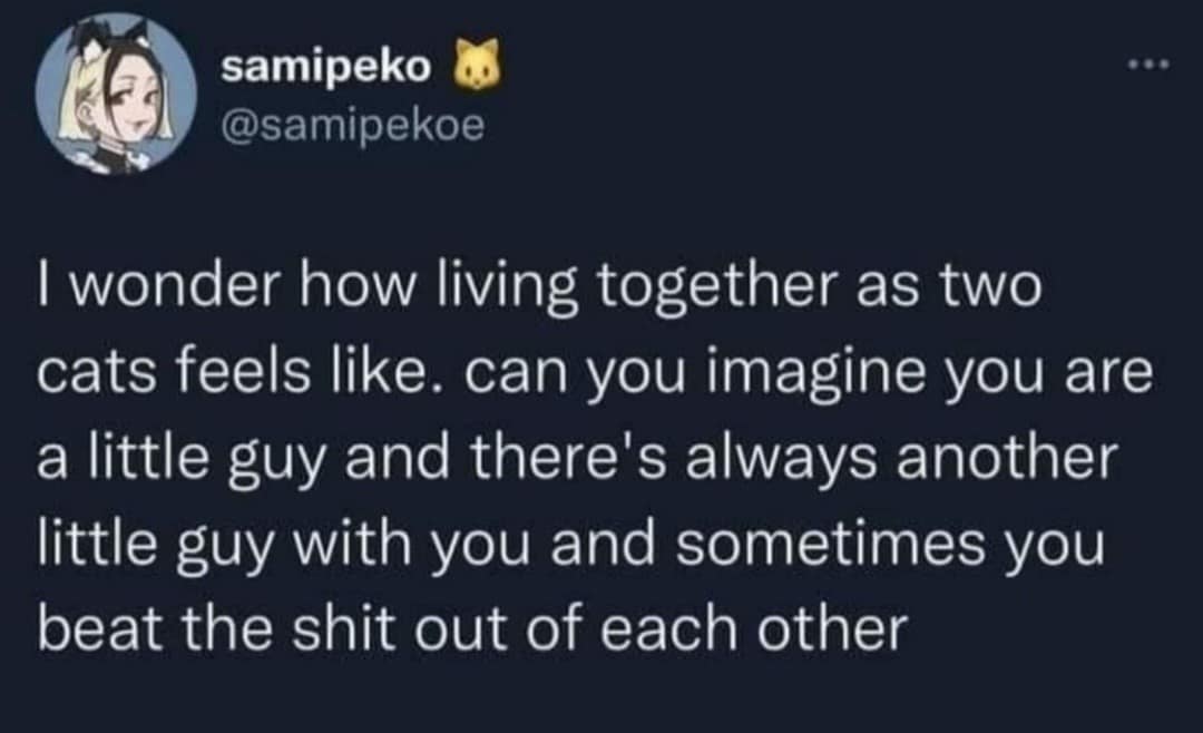 funny memes, funny images, funny pics, funny pictures