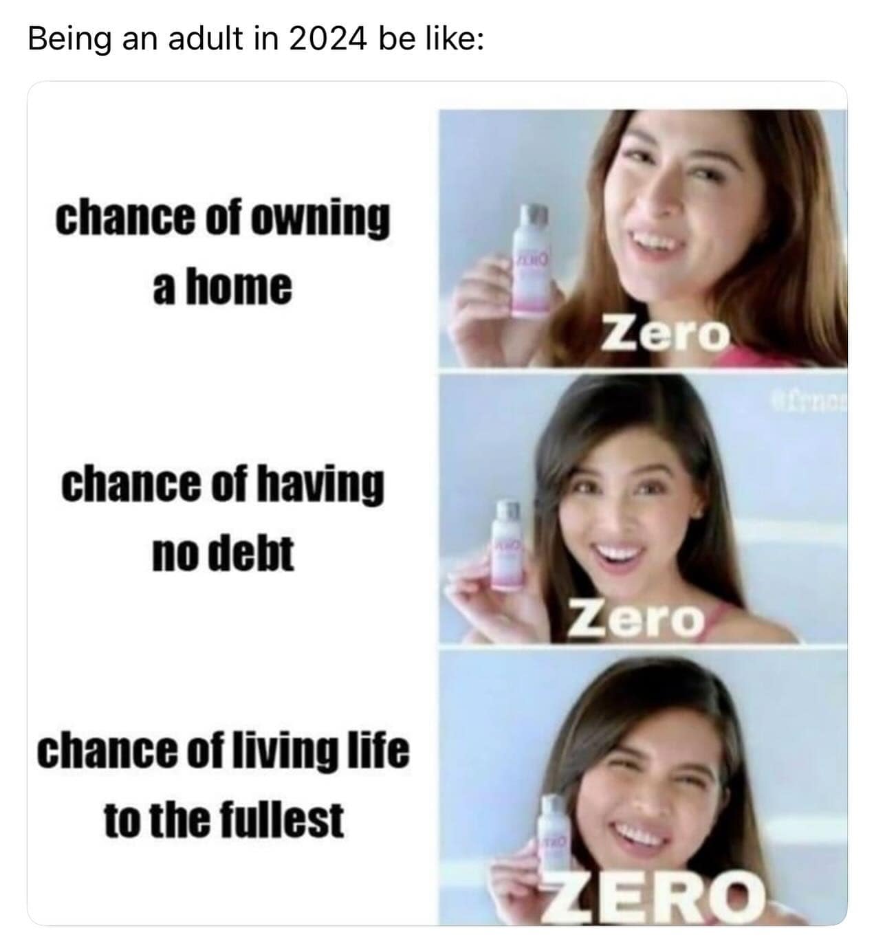 Being an adult in 2024 be like: chance of owning a home Zero chance of having no debt Zero chance of living life to the fullest ZERO