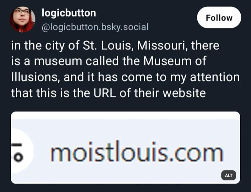 in the city of St. Louis, Missouri, there is a museum called the Museum of Illusions, and it has come to my attention that this is the URL of their website moistlouis.com