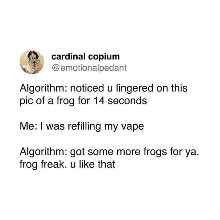 Algorithm: noticed u lingered on this pic of a frog for 14 seconds Me: I was refilling my vape Algorithm: got some more frogs for ya. frog freak. u like that