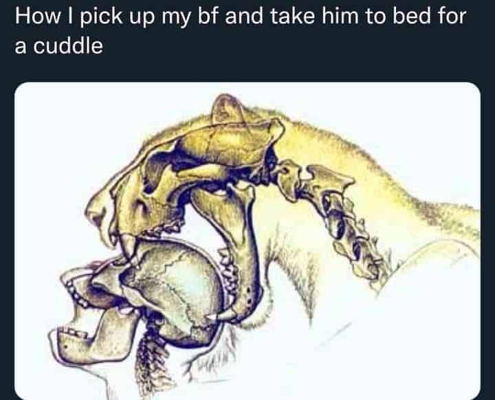 funny pics, funny memes, funny photos, funniest pics