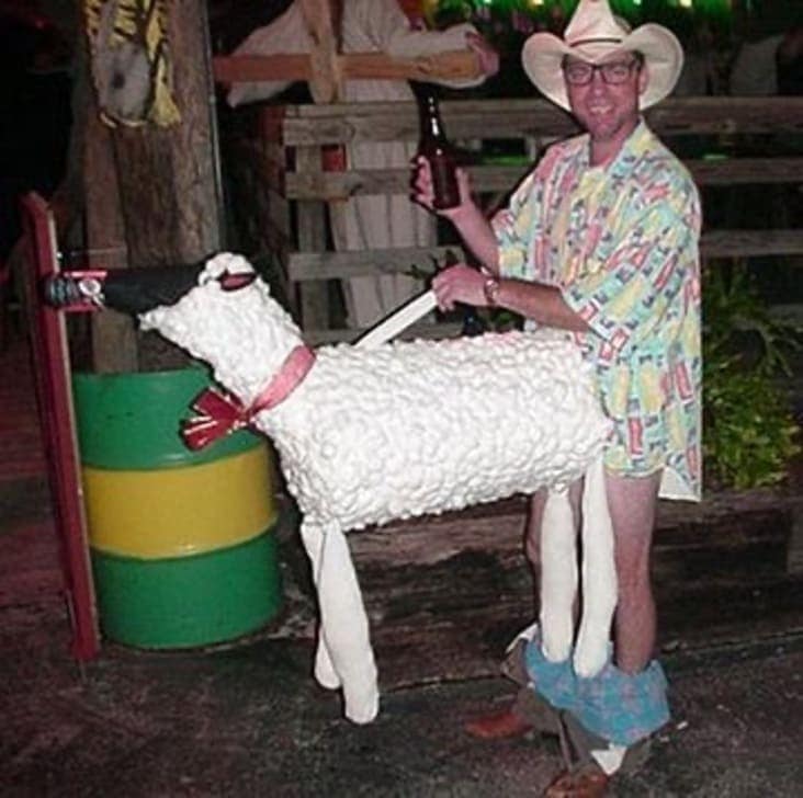 funny pics, funny memes, funny photos, funniest pics