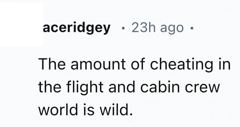 The amount of cheating in the flight and cabin crew world is wild.