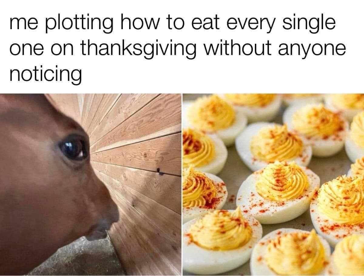 meme dump, funny memes, hilarious memes, internet humor, funny memes, laughter-inducing content, meme collection, humor compilation, joke repository